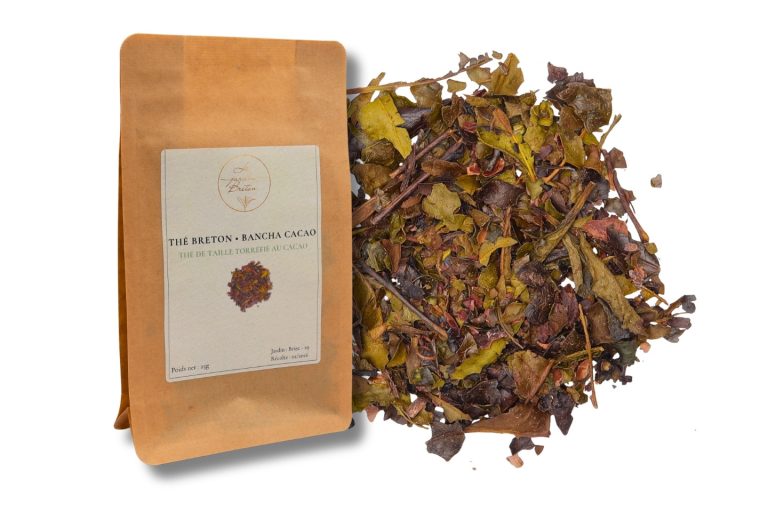 Bancha breton cacao bio en vrac – thé français artisanal avec éclats de cacao